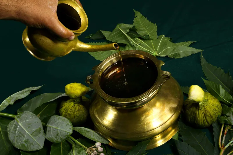Pančakarma Keralā